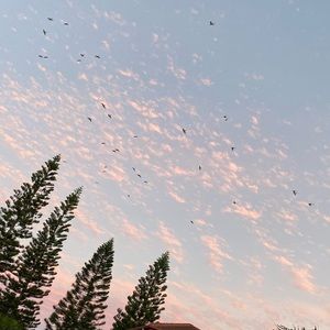 Meet your Posher, Shari